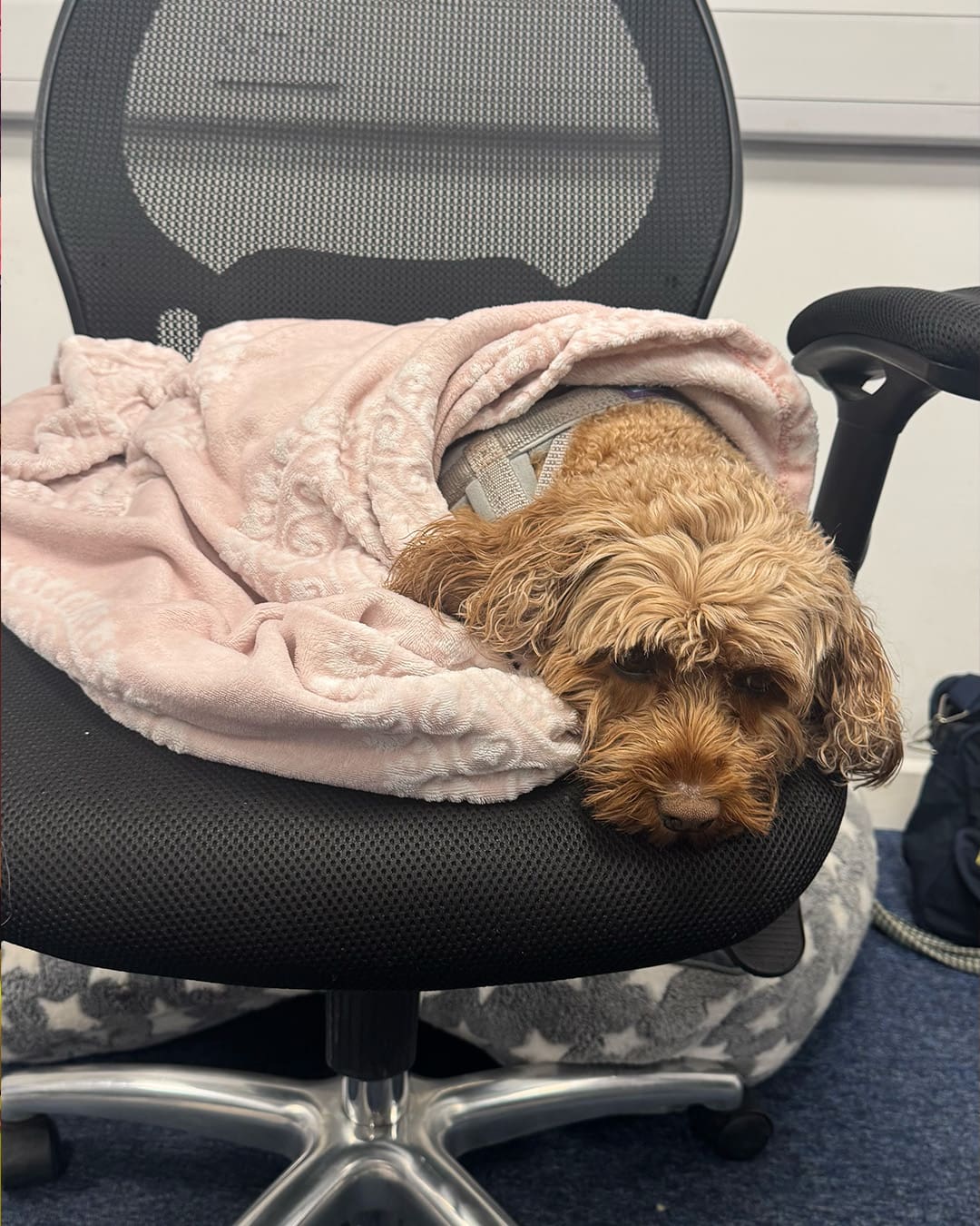 Connie wrapped up warm